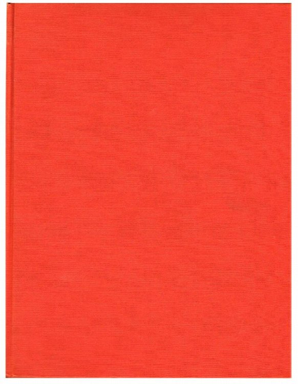 Image for The Paintings of Arshile Gorky: A Critical Catalogue The Paintings of Arshile Gorky: A Critical Catalogue