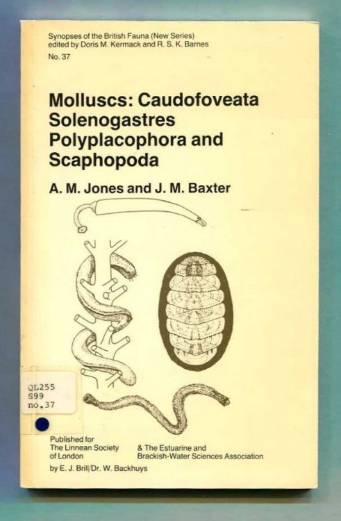 Image for Molluscs: Caudofoveata Solengastres Polyplacophora and Scaphopoda Keys and notes for the identification of species Molluscs: Caudofoveata Solengastres Polyplacophora and Scaphopoda Keys and notes for the identification of species