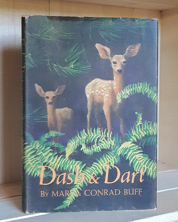 Dash & Dart