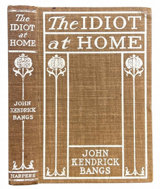 Image for The Idiot at Home. The Idiot at Home.