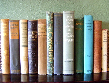 Vintage Monthly Book Club: Fiction & Literature - 6 month subscription