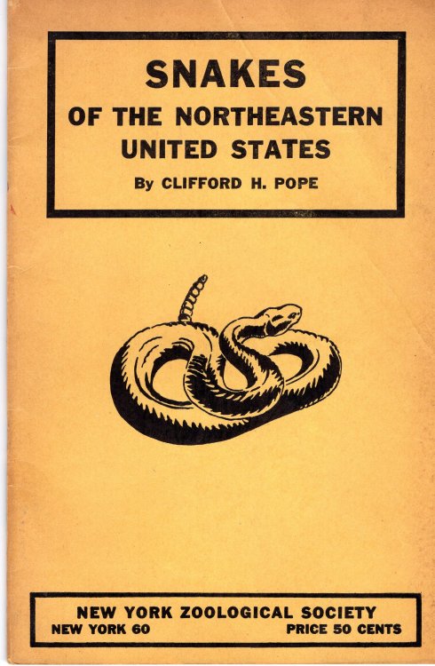 Image for Snakes of the Northeastern United States Snakes of the Northeastern United States