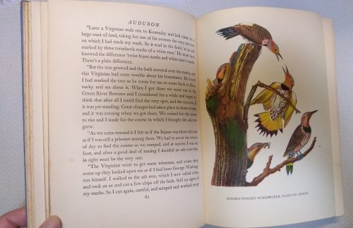 Image for Audubon Audubon
