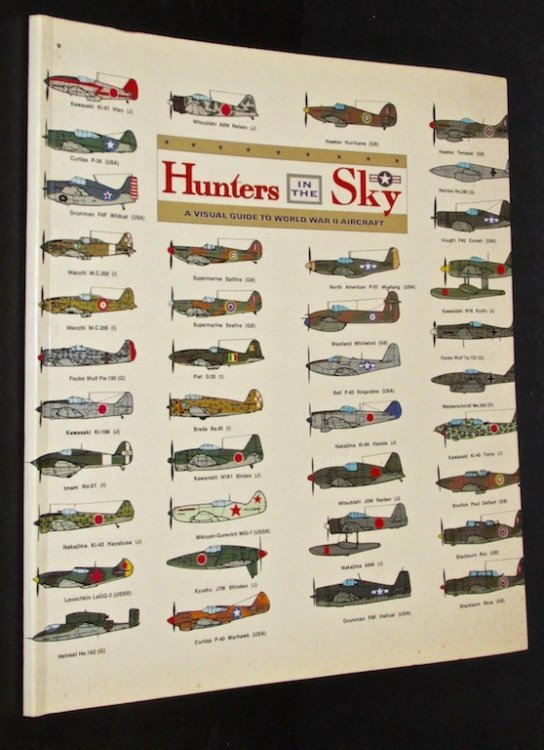 Image for Hunters in the Sky: A Visual Guide to World War II Aircraft Hunters in the Sky: A Visual Guide to World War II Aircraft