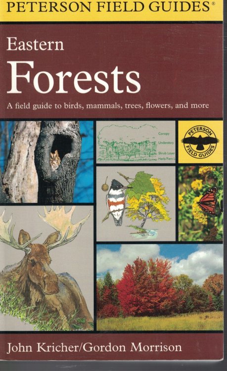 Image for Eastern Forests; - a Field Guide to Birds, Mammals, Trees, Flowers and More Eastern Forests; - a Field Guide to Birds, Mammals, Trees, Flowers and More