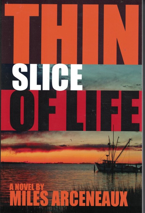 Image for Thin Slice of Life Thin Slice of Life