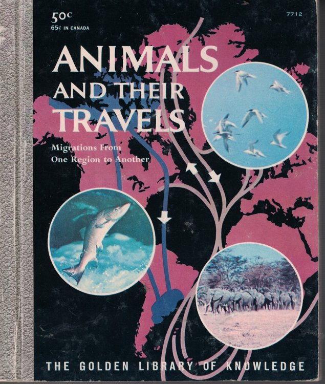Animals and Their Travels (7712) ; - Migrations from One Region to Another