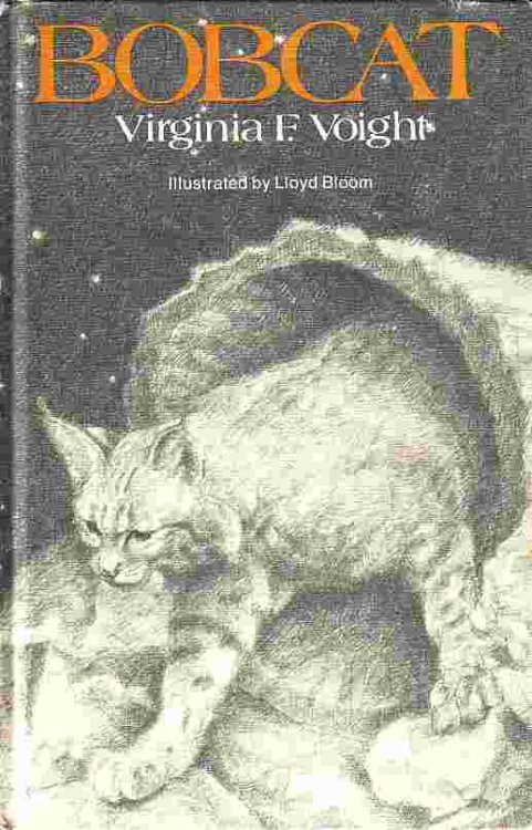 Image for Bobcat Bobcat