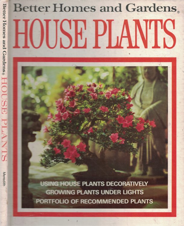 House Plants
