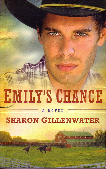 Emily's Chance