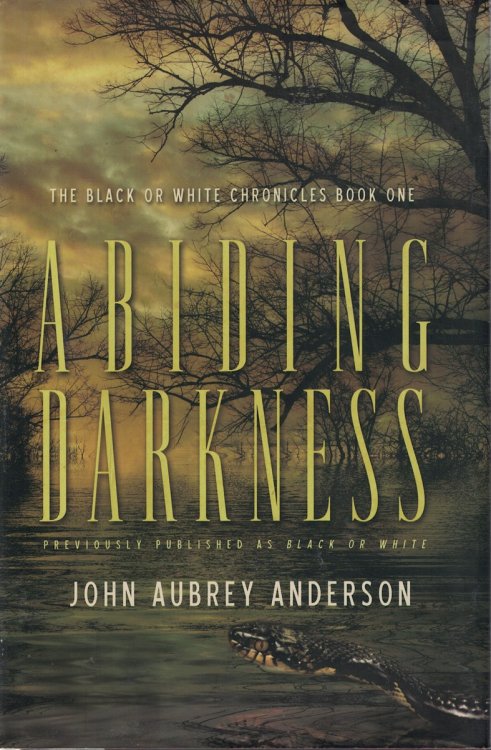 Abinding Darkness; Book 1