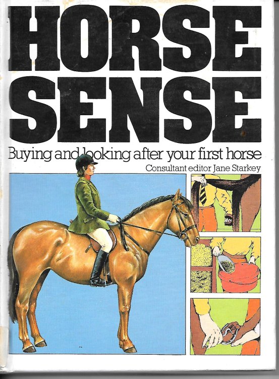 Horse Sense; Buying and Looking after Your First Horse