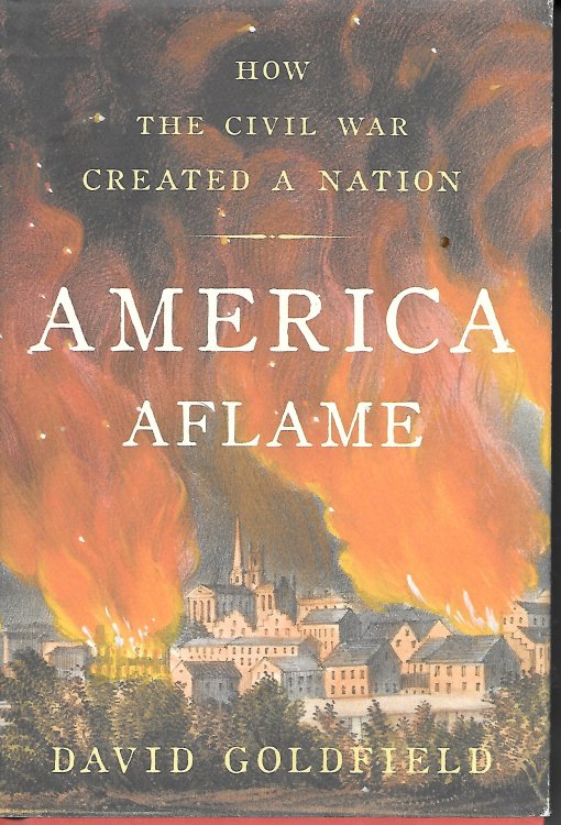 America A Flame; How the Civil War Created a Nation