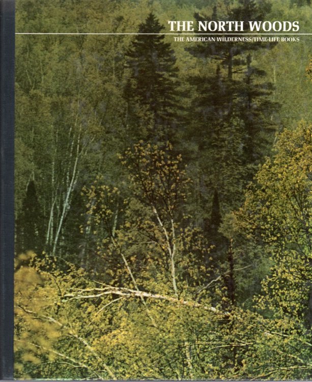 The North Woods
