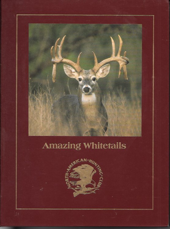 Amazing Whitetails
