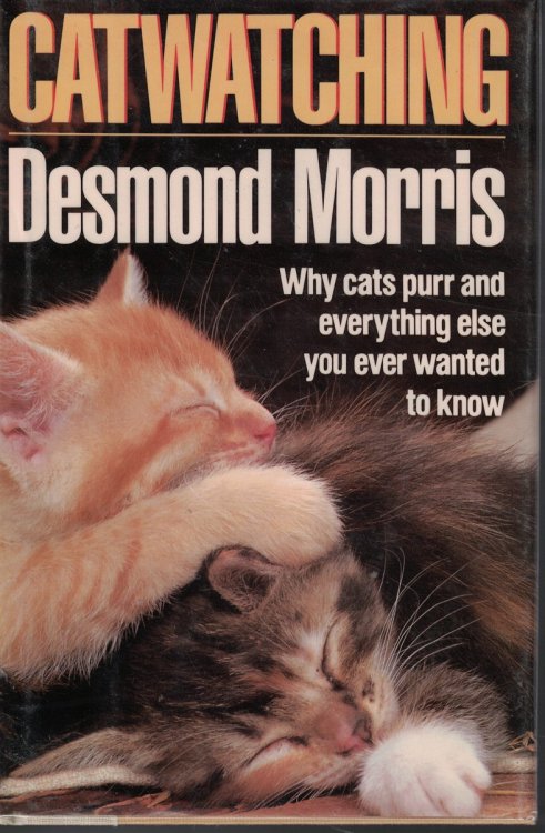 Catwatching; Why Cats Purr and Everything Else You Ever Wanted to Know