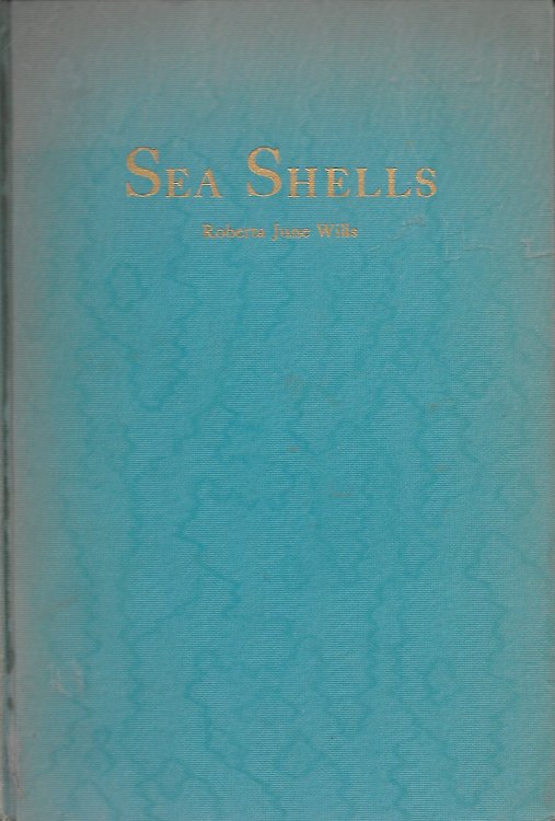 Sea Shells
