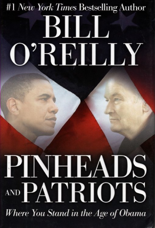 Pinheads and Patriots; Where You Stand in the Age of Obama