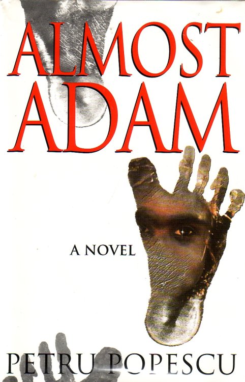 Almost Adam