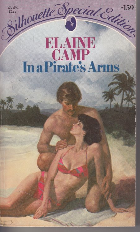 In a Pirate's Arms