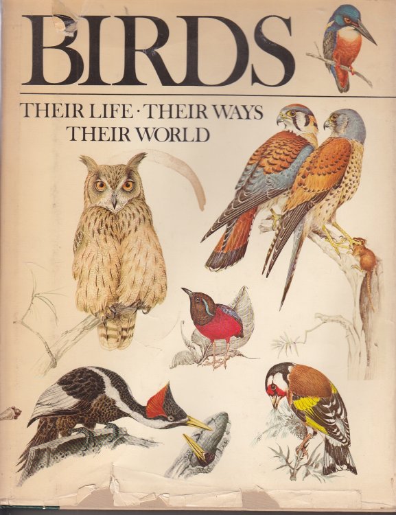 Birds; Their Life, Their Ways, Their World