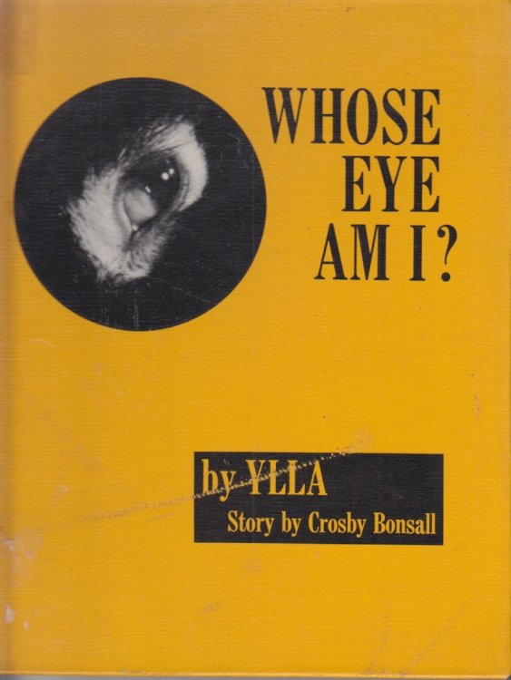 Whose Eye Am I