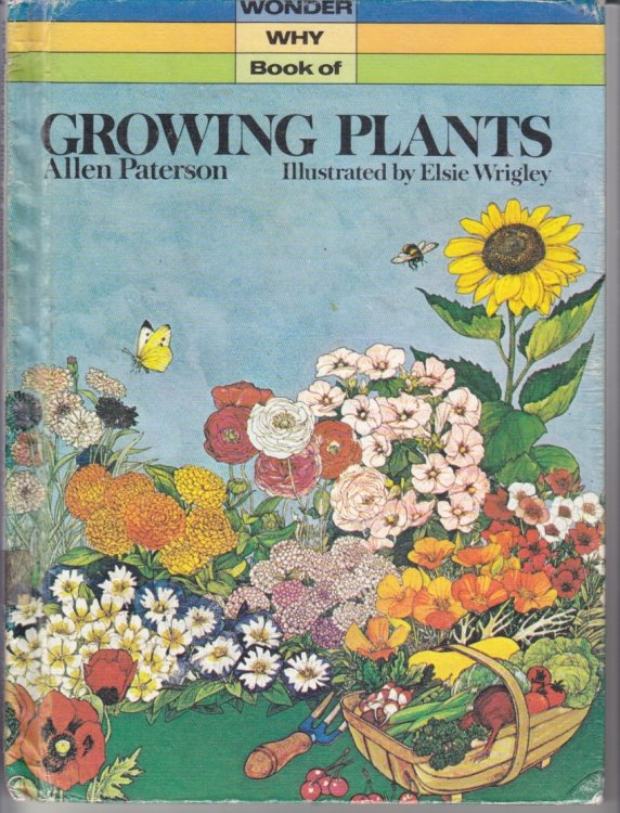Growing Plants