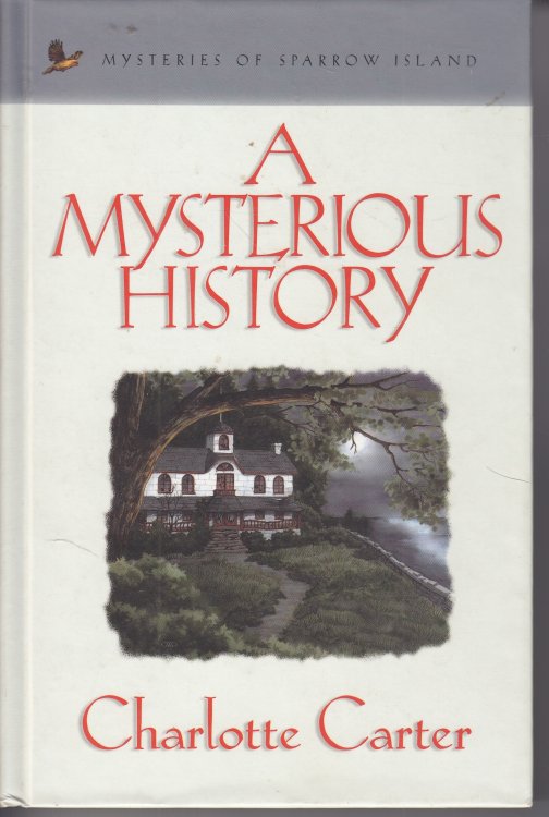 Image for A Mysterious History A Mysterious History
