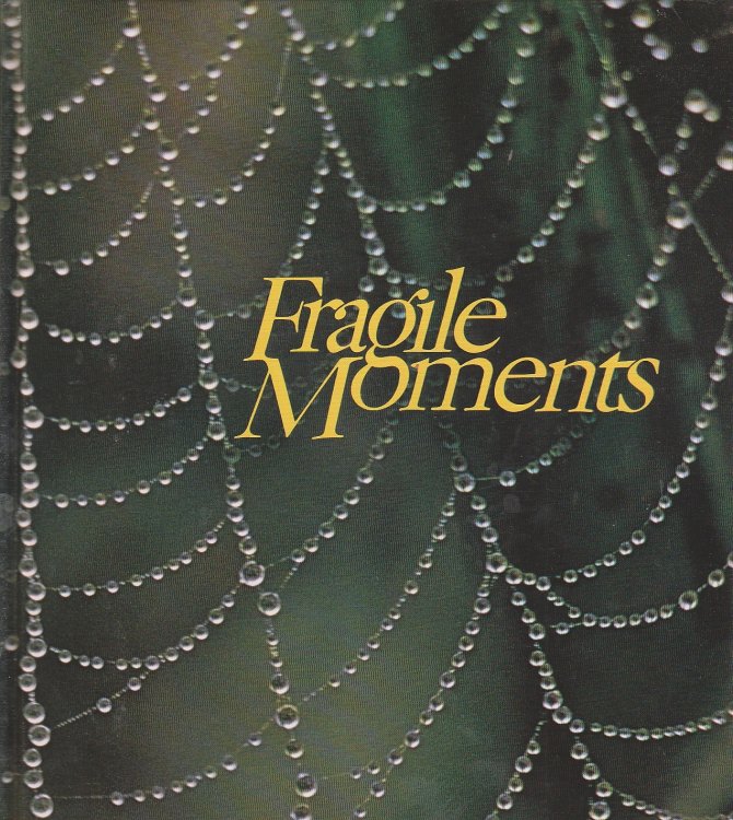 Fragile Moments; When God Speaks in Whispers