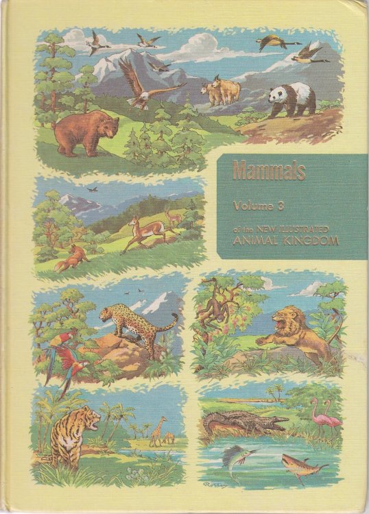 The Illustrated Encyclopedia of Animal Life; Volume 3