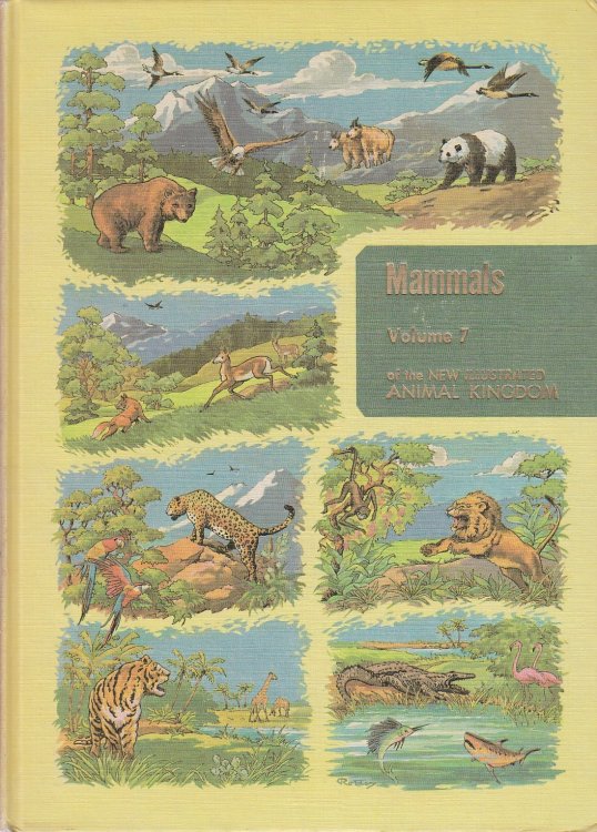 Illustrated Encyclopedia of Animal Life; Volume 7