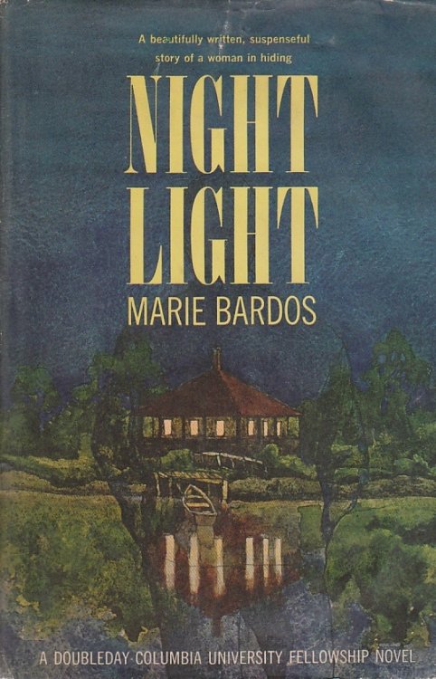 Night Light; A Beautifully Written Suspenseful Story of a Woman in Hiding.