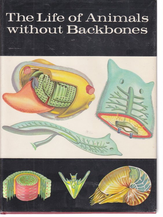The Life of Animals Without Backbones; Foundations of Invertebrate Zoology