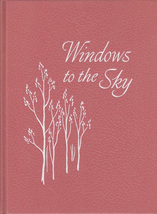 Image for Windows to the Sky Windows to the Sky