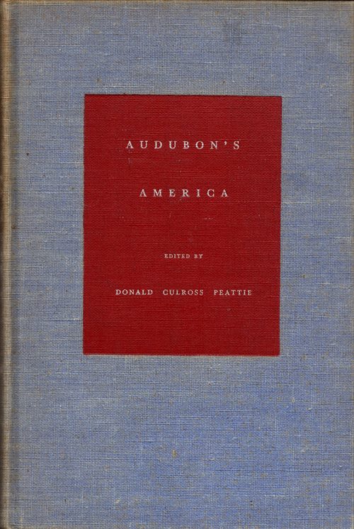 Image for Audubon's America Audubon's America