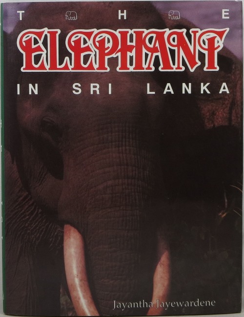 Image for The Elephant in Sri Lanka The Elephant in Sri Lanka