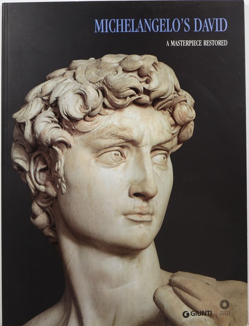 Image for Michelangelo's David: A Masterpiece Restored Michelangelo's David: A Masterpiece Restored