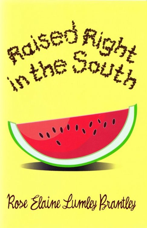 Image for Raised Right in the South Raised Right in the South