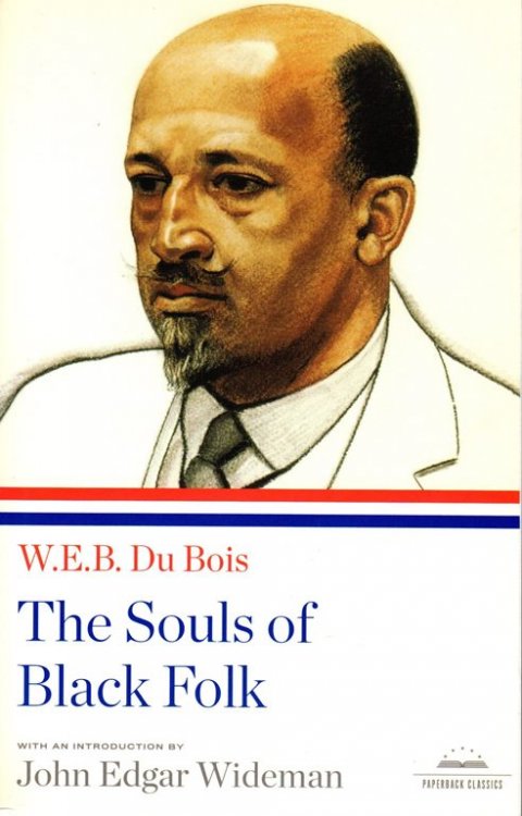 Image for The Souls of Black Folk The Souls of Black Folk