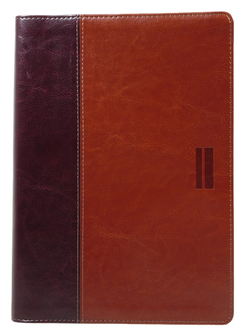 Image for NLT Parallel Study Bible NLT Parallel Study Bible