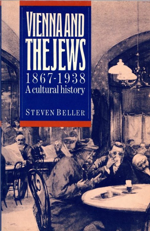 Image for Vienna and the Jews, 1867-1938: A Cultural History Vienna and the Jews, 1867-1938: A Cultural History