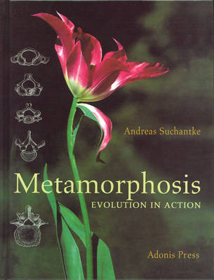 Image for Metamorphosis Evolution in Action Metamorphosis Evolution in Action