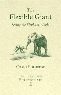 Image for Flexible Giant, The Seeing the Elephant Whole Flexible Giant, The Seeing the Elephant Whole