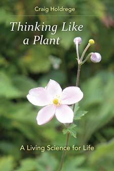Image for Thinking Like a Plant A Living Science for Life Thinking Like a Plant A Living Science for Life