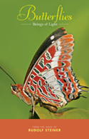 Image for Butterflies Beings of Light Butterflies Beings of Light