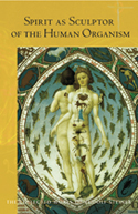 Image for Spirit as Sculptor of the Human Organism Spirit as Sculptor of the Human Organism