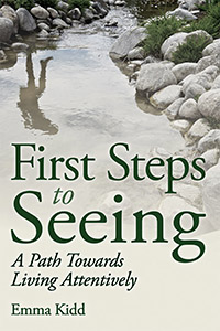 Image for First Steps to Seeing A Path towards Living Attentively First Steps to Seeing A Path towards Living Attentively