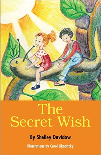 Secret Wish, The