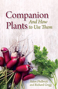 Image for Companion Plants and How to Use Them Companion Plants and How to Use Them