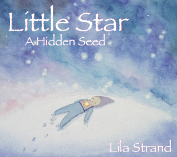 Image for Little Star A Hidden Seed Little Star A Hidden Seed